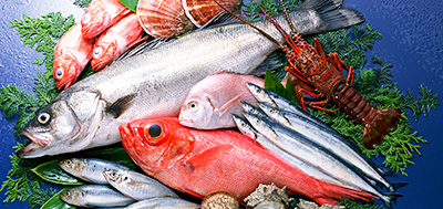 魚(yú)、蝦、殼類(lèi)等各種海產(chǎn)品