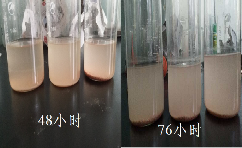 醬鹵產品護色